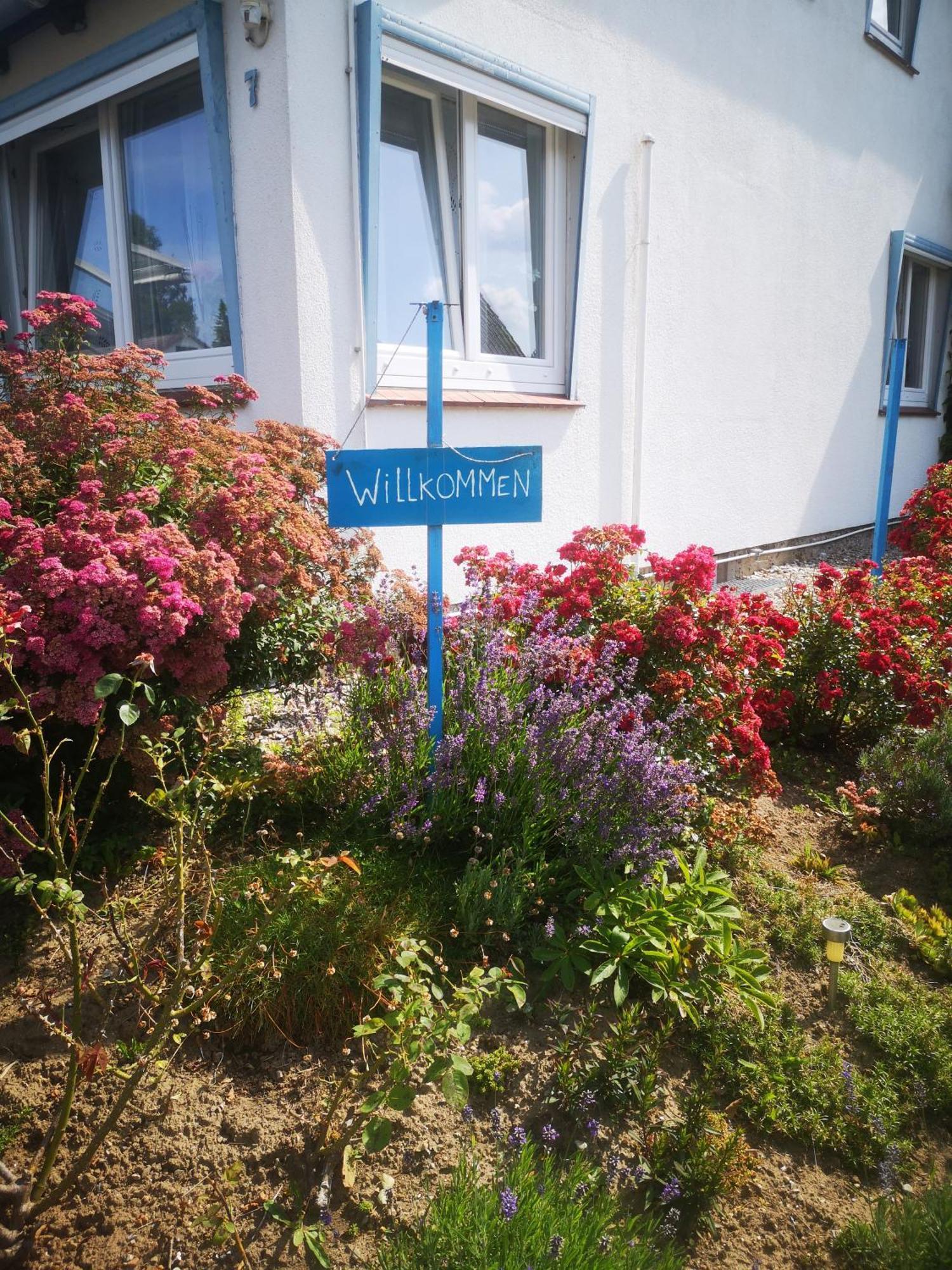 Ferienwohnungen Und Ferienhaus Im Nixenweg هوهفاخت المظهر الخارجي الصورة